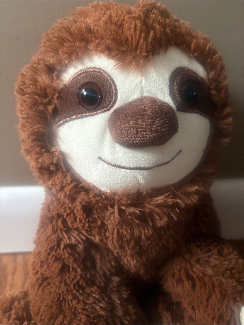 Send a Friend Sloth - Picture 2 of 5